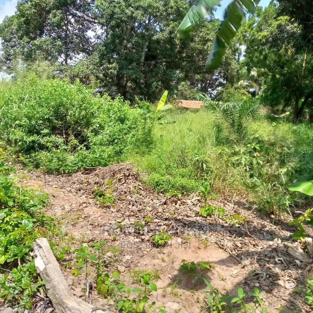 Eneo La Kibiashara Linauzwa Milioni 550heka 3 Kibaha.