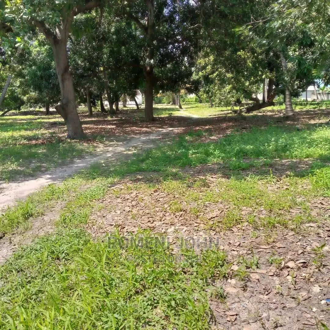 Eneo La Kibiashara Heka 8 Linauzwa Bilioni 1.8 Kibaha.
