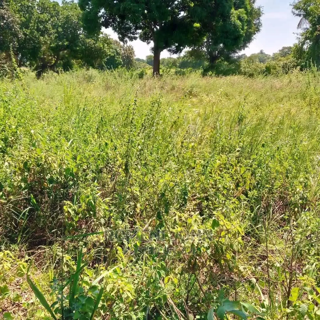 Eneo La Kibiashara Heka 4 Linauzwa Milioni 400 Kibaha Pwani.