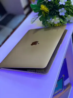 Laptop Apple MacBook 2017 8GB Intel Core M SSD 256GB