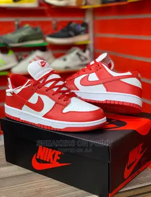 Brand New Nike SB