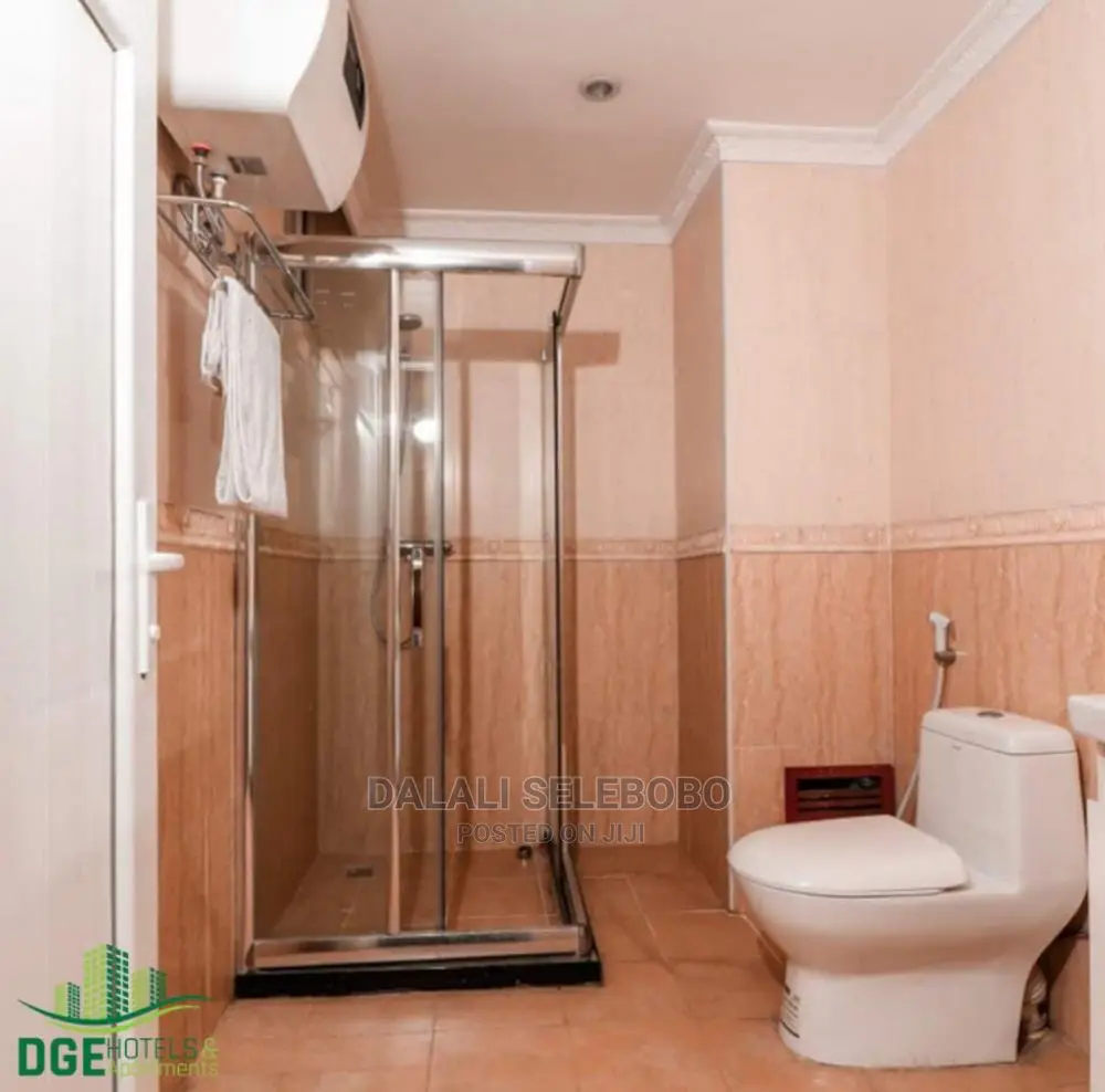 Furnished Mini Flat in Sinza for rent