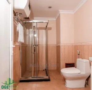 Furnished Mini Flat in Sinza for rent