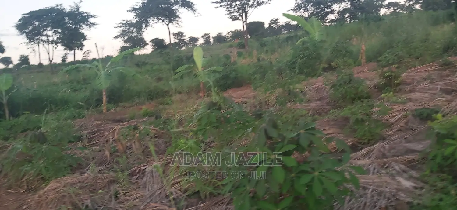 Shamba La Ekari 30 Linauzwa