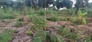 Shamba La Ekari 30 Linauzwa