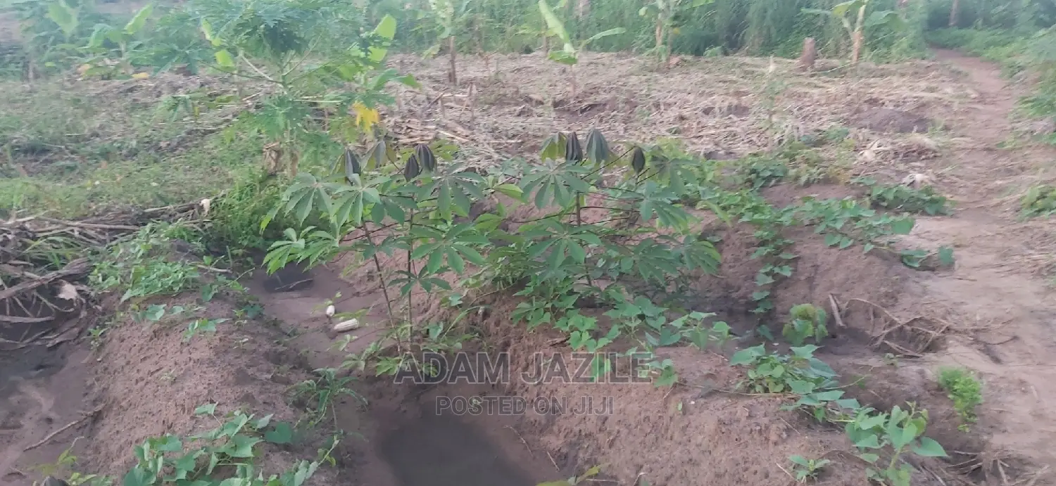 Shamba La Ekari 30 Linauzwa