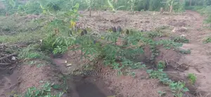 Shamba La Ekari 30 Linauzwa