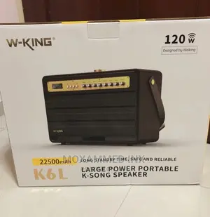 Wking K6L Speaker