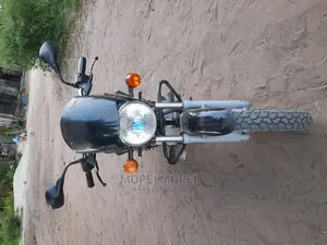 Bajaj Boxer X125 2021 Green