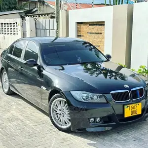 BMW 3 Series 2007 Gray