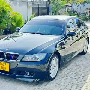 BMW 3 Series 2007 Gray