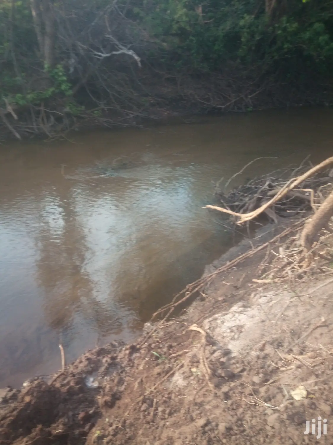 Shamba Linauzwa Pwani