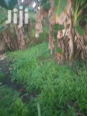 Shamba Linauzwa Pwani