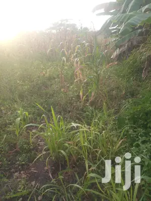 Shamba Linauzwa Pwani