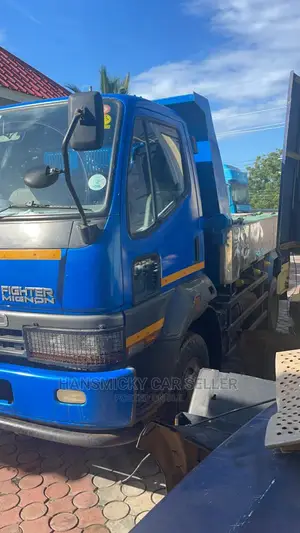 Mitsubishi Fuso 2009 Blue