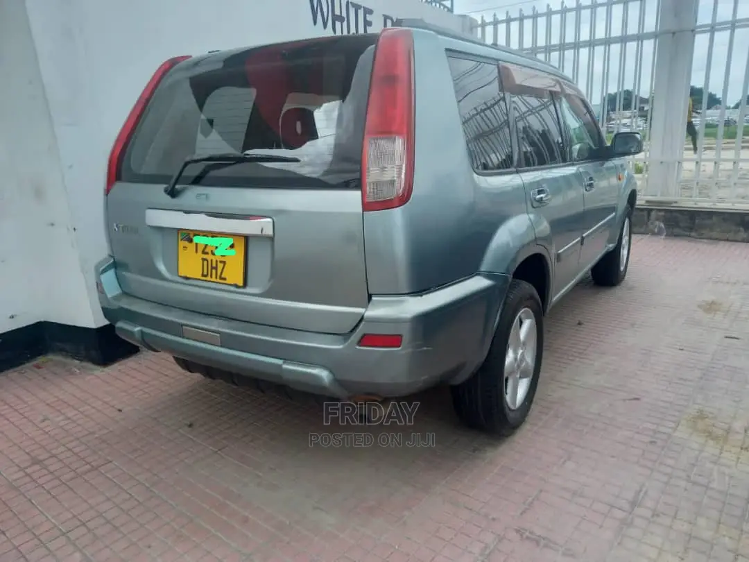 Nissan X-Trail 2.0 2005 Gray
