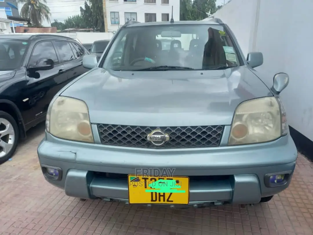 Nissan X-Trail 2.0 2005 Gray