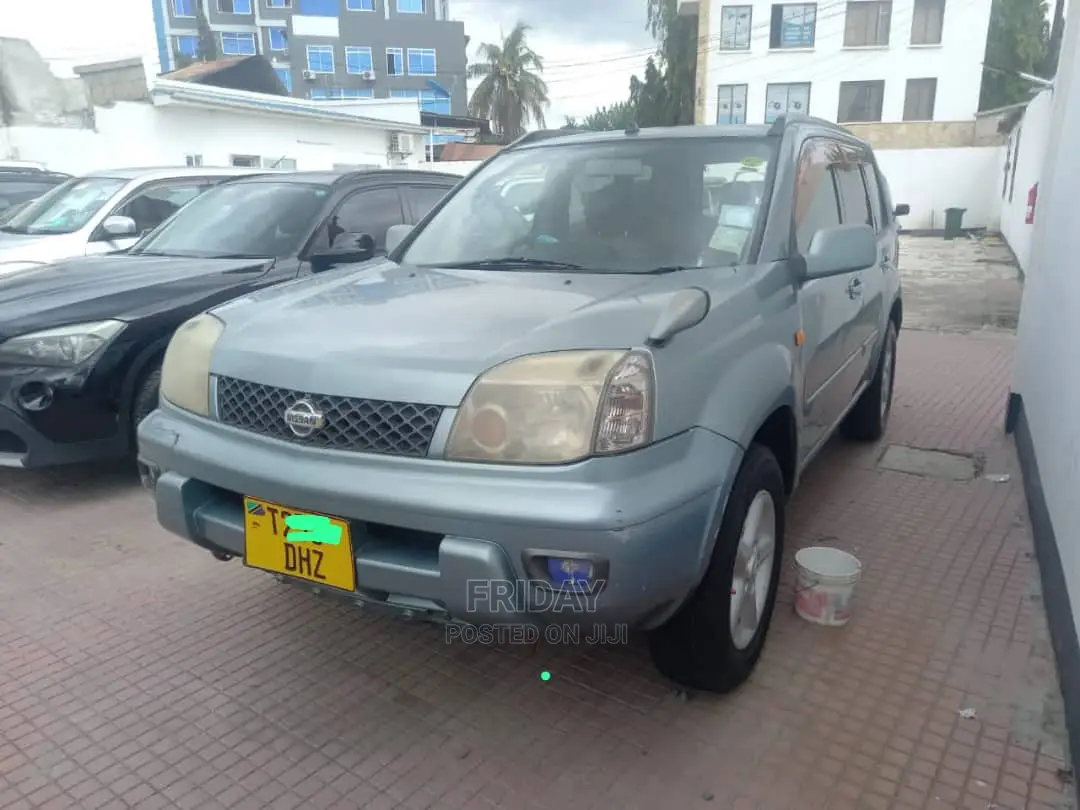Nissan X-Trail 2.0 2005 Gray