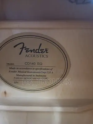 Fender Acoustcs Guitar