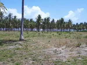 Kigamboni, 11 Acres Beach Front Land for Sale - Dar