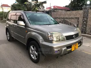 Nissan X-Trail 2005 Beige