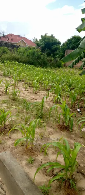 Plot for Sale Loction Lugung'unzi