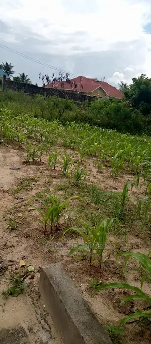 Plot for Sale Loction Lugung'unzi
