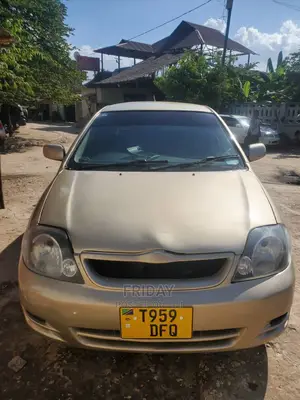 Toyota Allex 2002 Gold