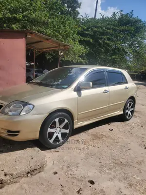 Toyota Allex 2002 Gold
