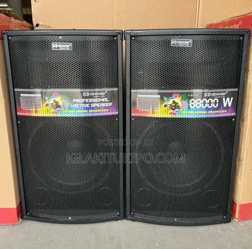 Professional Twin Speaker
