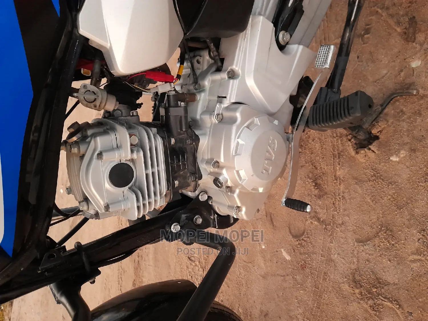 TVS 2022 Gold
