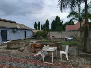 Eneo Linagusa Main Road Linauzwa Pugu