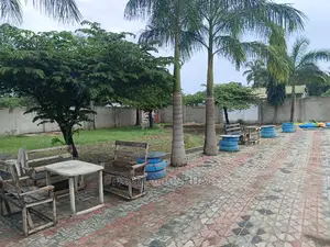 Eneo Linagusa Main Road Linauzwa Pugu