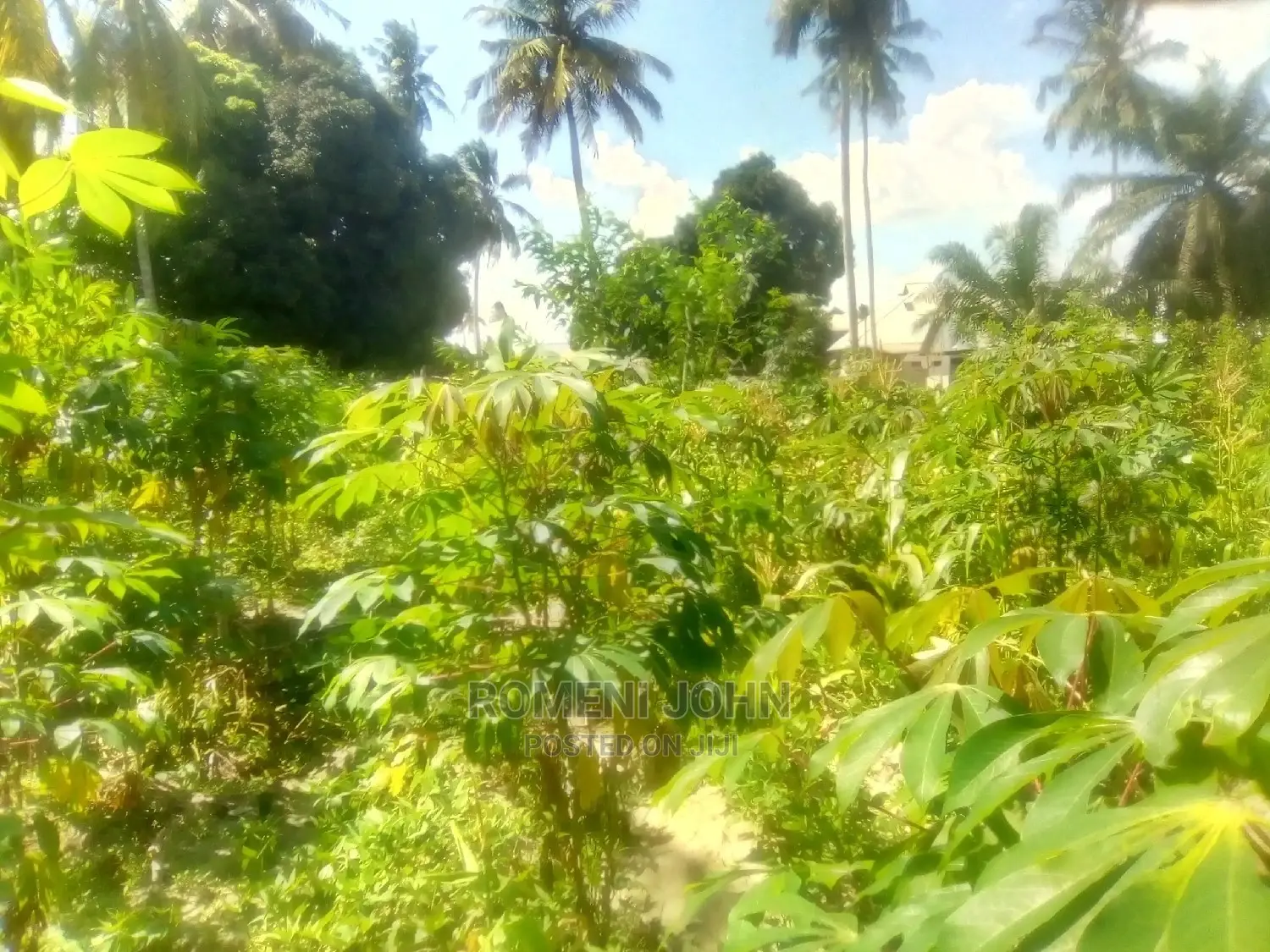 Eneo La Kibiashara Heka 1.5 Linauzwa Milioni 165 Chanika.