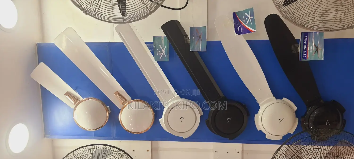 Dolphin Ceiling 5 Blade New Arrivals