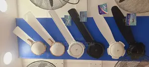 Dolphin Ceiling 5 Blade New Arrivals