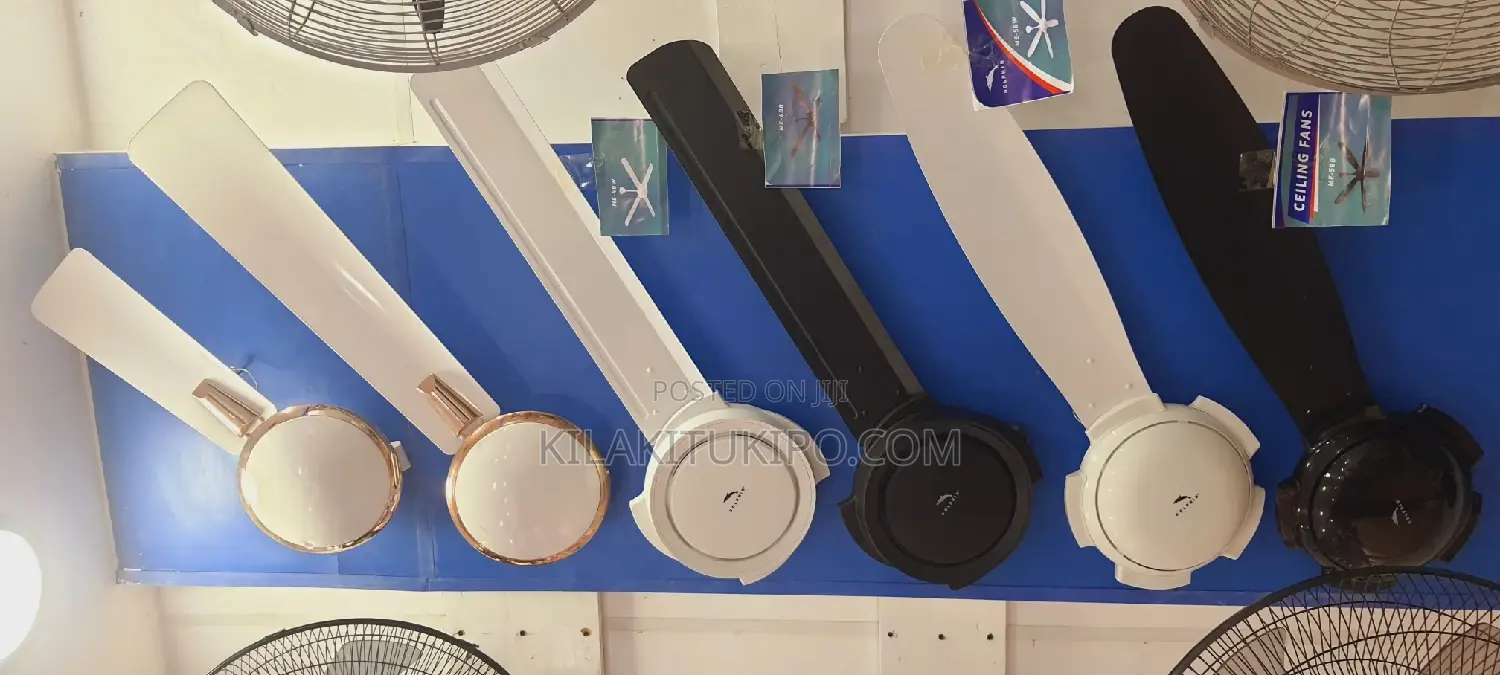 Dolphin Ceiling 5 Blade New Arrivals