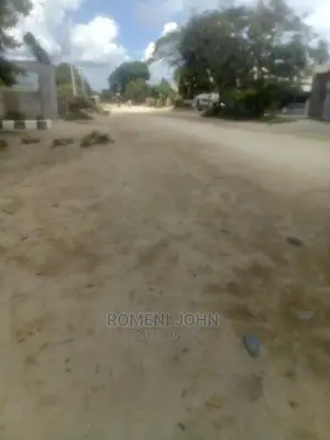 Viwanja Vinauzwa Vimepimwa Milioni 14 Ukonga Kwa Diwani.