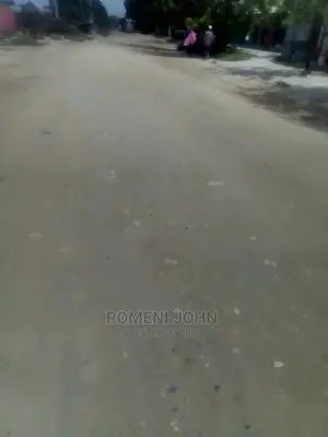 Viwanja Vinauzwa Vimepimwa Na Wizara Ya Ardhi.