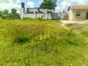 Viwanja Vinauzwa Vimepimwa Na Wizara Ya Ardhi.