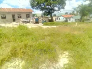 Viwanja Vinauzwa Vimepimwa Na Wizara Ya Ardhi.