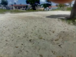 Viwanja Vimepimwa Vinauzwa Milioni 8.5 Ukonga Moshibar/Diwan