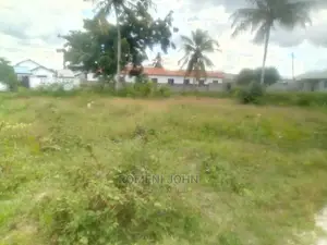 Viwanja Vinauzwa Vimepimwa Kutoka Wizara Ya Ardhi Ukonga.