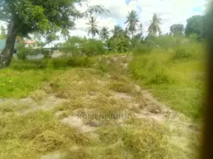 Viwanja Vinauzwa Vimepimwa Kutoka Wizara Ya Ardhi Ukonga.