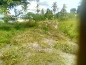 Viwanja Vinauzwa Vimepimwa Kutoka Wizara Ya Ardhi Ukonga.
