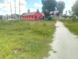 Viwanja Vimepimwa Vina Hati Vinauzwa Milioni 13 at 1