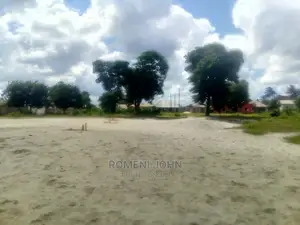 Viwanja Vimepimwa Vina Hati Vinauzwa Milioni 13 at 1
