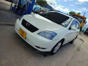 Toyota Allex 2002 White