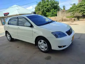 Toyota Allex 2002 White