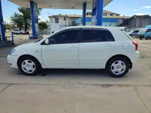 Toyota Allex 2002 White